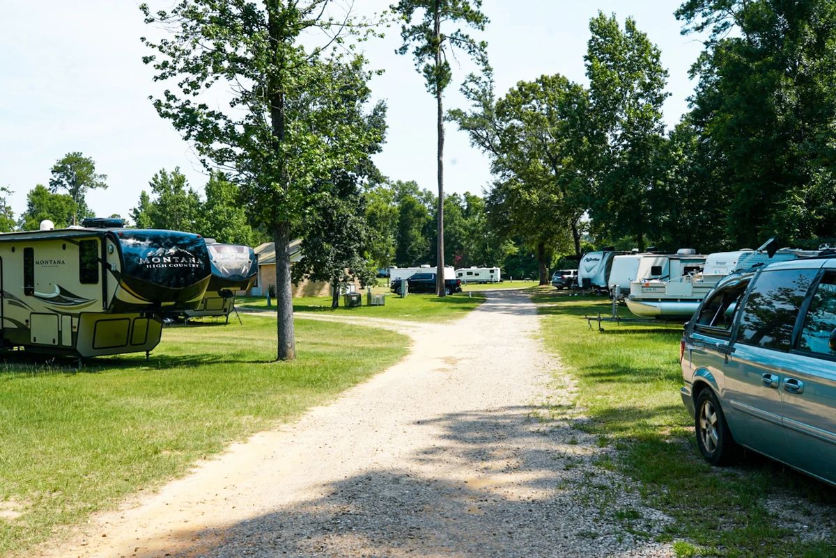 Gravel park road lined with RV sites and shade trees